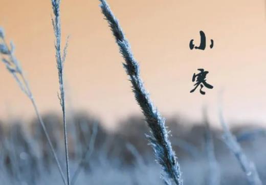 С����(du��)����(ji��)��Ӱ푆᣿С���ǎ׾ŵڎ���