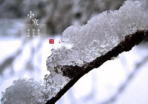 2024��С���Ƕ���߀�����ţ�2024С�����䴺�����