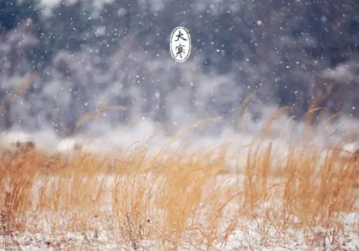 2024��С����߀�Ǵ��䣿2024���������c犺�