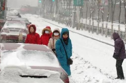 Ԫ��ȥ�����I����m�᣿�����I2024��Ԫ������ѩ��