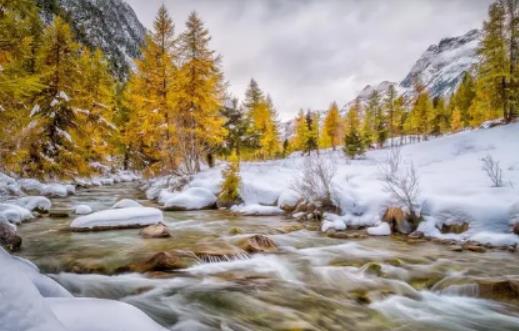 2024�������һ�����𣿱���Ԫ�����g�����ô��