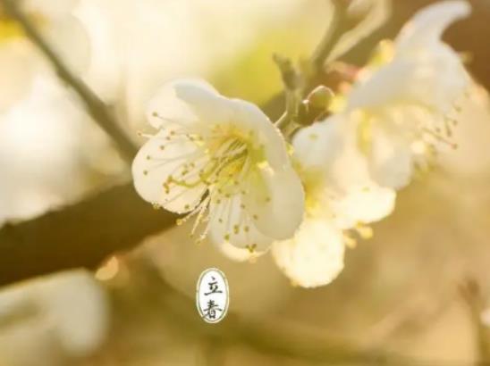 2024�������p�����᣿2024�������ڴ���֮ǰ��