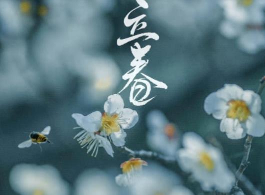 2024�����ǆ�����߀���p������2024��������ʲô�ڴ���(ji��)ǰ��