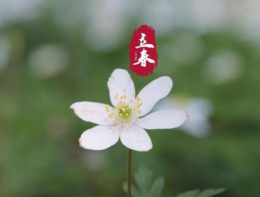 2024���������r(n��ng)�v��һ�����ڎף�2024��]�д���ʲô��˼