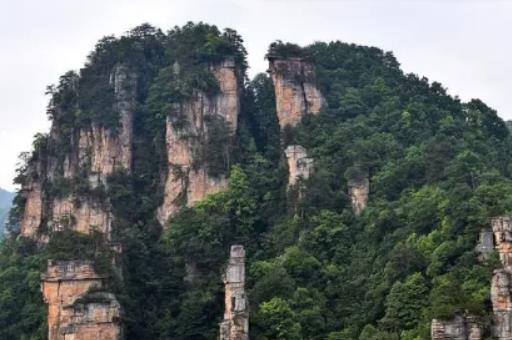 2024�ꏈ�ҽ�������Fڡ�˛]�����ҽ����Tɽÿ�궼��ѩ��