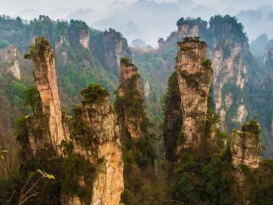 ���ҽ���·ݲ����F�������ҽ����Tɽ�϶��ٶȕ���ѩ