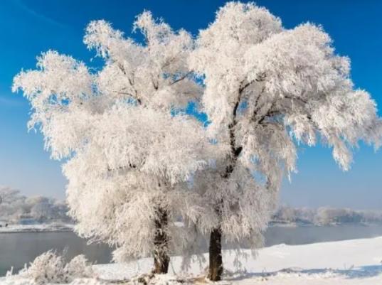 �����Fڡ��ѩ�����ȼ�����ڎ��c���������Fڡ��ѩ���������e�k