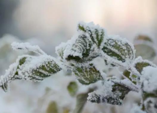 �����Fڡ��ѩ��(ji��)���ȼ�����ڎ��c(di��n)���������Fڡ��ѩ��(ji��)�������e�k