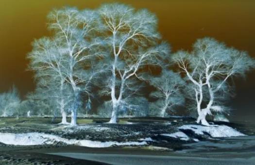 �����Fڡ��ѩ��(ji��)���ȼ�����ڎ��c(di��n)���������Fڡ��ѩ��(ji��)�������e�k