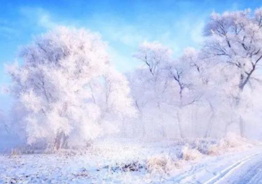 12�³�ȥ�����ܿ����Fڡ�᣿2024�꼪�����Fڡ��ѩ����̖�_ʼ