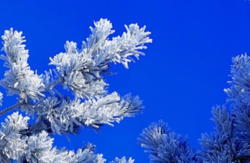 12�¿��F�ɖ|��ʲô�ط���ã��������Fڡ��ѩ�����m���L�r�g