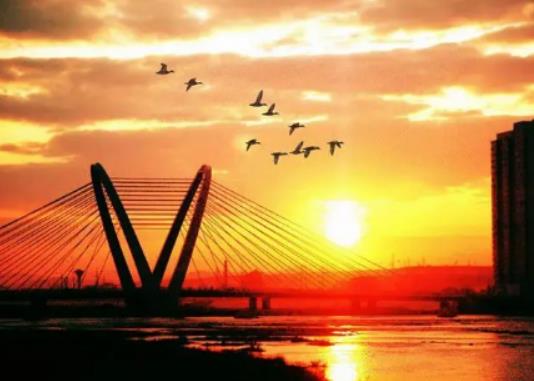 12��ȥ�Ӽ���ʲô���m��12��ȥ�Ӽ����Ε���������