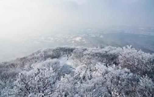 �Ͼ�2024�괺���П�������݆᣿2024�Ͼ�����ҹ���F�I�I�����c