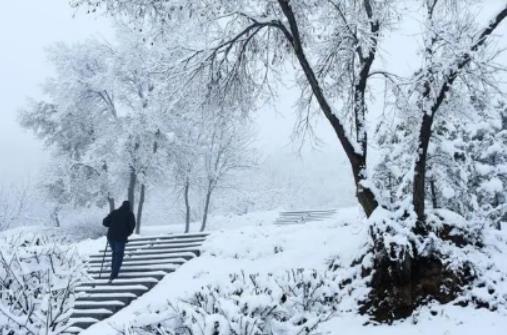 �Ͼ�������F�����L�\�I�r�g�᣿�Ͼ�������������^�p�c����