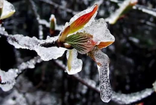 2023����2024�궬���Ў״κ��������׃ů��ν��꺮������