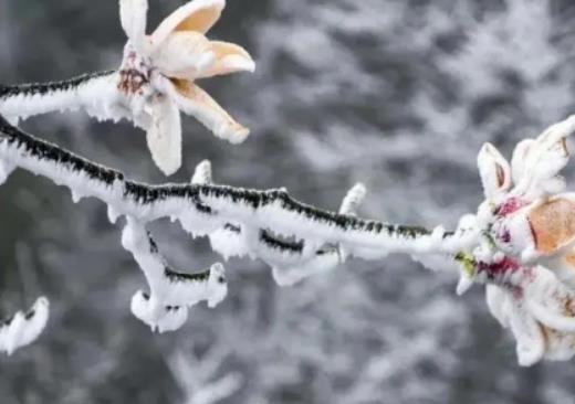 ��ν��A�y�����ИO����⣿�������R�����m���