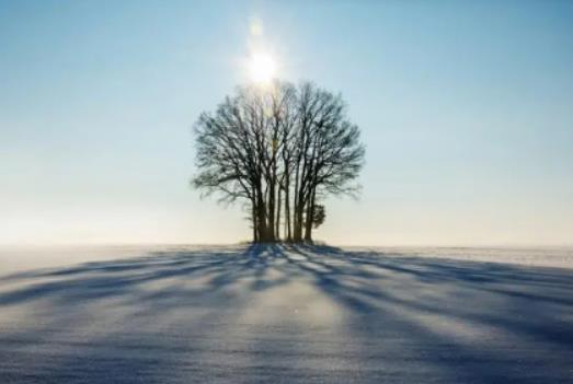 2024��ӭ��(l��i)����(j��)��������Ć᣿���궬��������(l��i)����߀���t