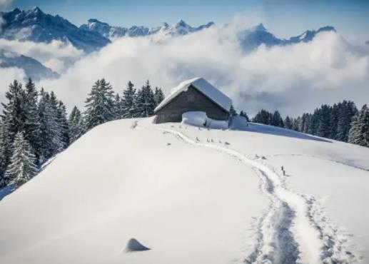 ���ڵĶ�����ʲô�ӣ�����׃�������m�ׂ���