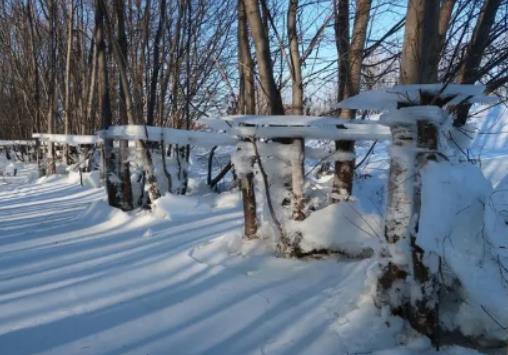 2023������ʲô�r���_ʼ׃�䣿2023������ʲô�r��ŕ�׃�䴩�L��