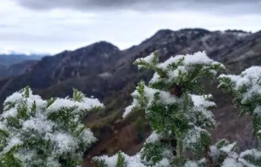 ����12�·���⴩ʲô�����϶�����ʲô�����