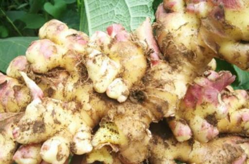 ������ϥ�w�и����Æ᣿������ϥ�w��������