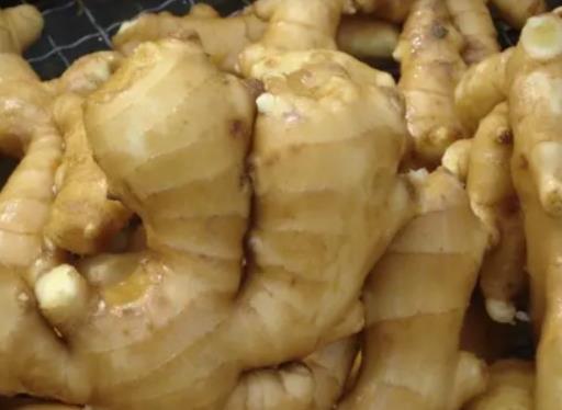 �����N�_�������Ϻ�߀�����Ϻã������N�_���θ�ð�������������