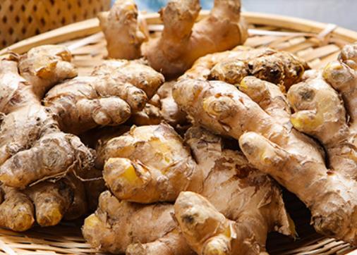 ��������ֱ���N�_�Ć᣿С����ð�ܲ����ý��N���_��