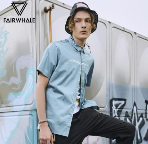 ʮ�����bƷ�����а�������֮��̖�Q���˵��¹����Ÿꠖ��Ҫ�����b