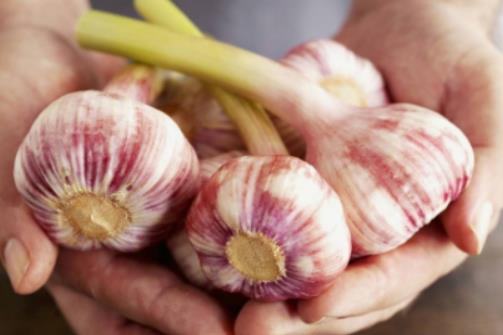 �����ʲôˎ�L�ÿ죿�o�����w��ľ�ҵĺ�̎��ʲô