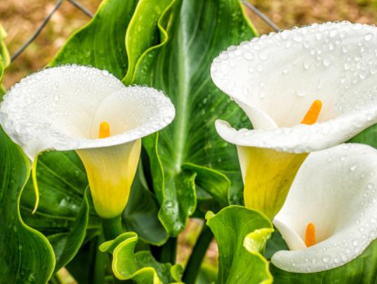 �R��ɏʲô��λ�ж�����ɫ�R��ɏ�ͺ����ٶ�