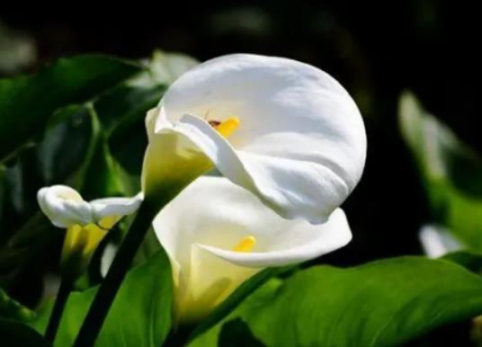 �R��ɏ�����҃��ж��᣿�R��ɏ��ο������L�߶�