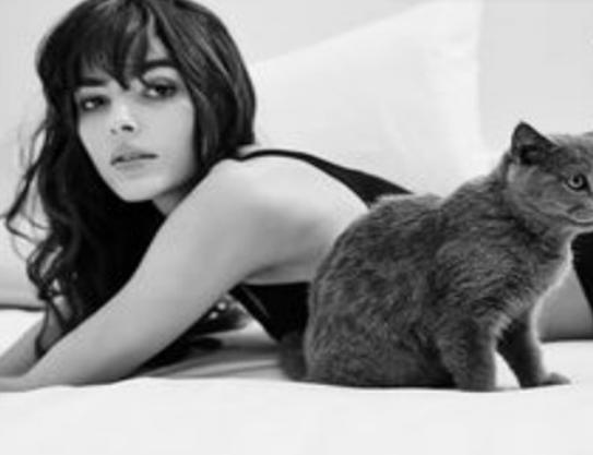 ʮ���(n��i)�¼���Ʒ�����а񣬐�Ľ��(n��i)�������m���Q�����ݷ҃�(n��i)�º��Ը�