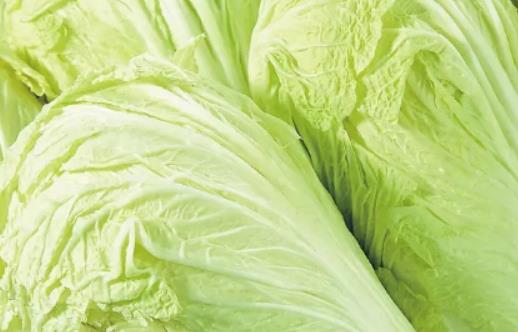 �ײ�ɶ�r��N����ײ���ô����ˮ�ʹ���