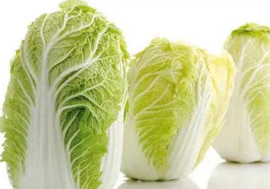 �N�ײ���Щ��Ҫע������Լ��N�ײ�ʲô�ӵķN�Ӻ�