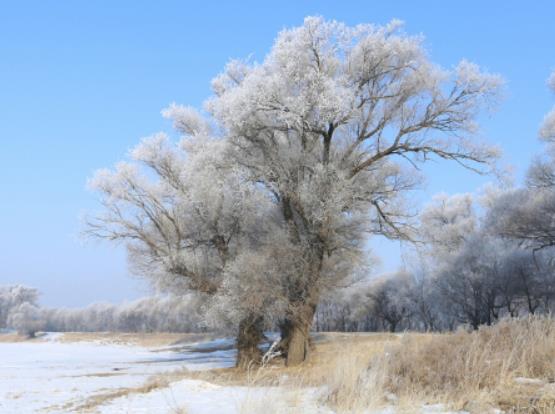 �����I������Դ��R��ѥ�᣿�����I������Դ�ȹ�ӆ�