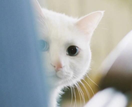 ؈�ݶ�ó�һ�Σ�؈�䲻�ܳ��׆�