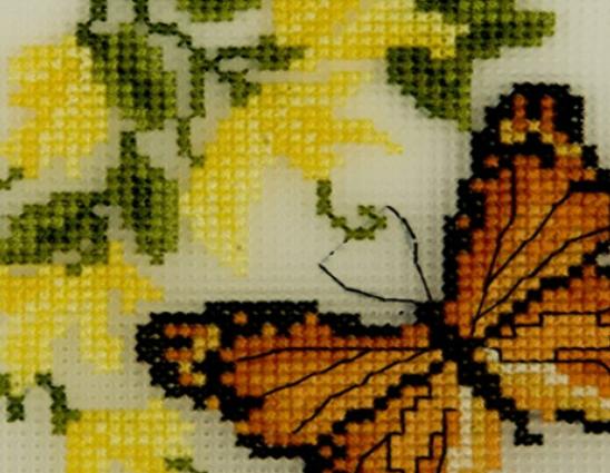 ʮ��ʮ���C����Ʒ��������DMCʮ���C�����J�ɡ�KSʮ���C�Ԍ������Q