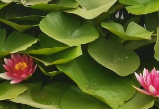 ˯ɏ��̫����ô�޼���˯ɏ�~�ӳ�ˮ��ɶ������