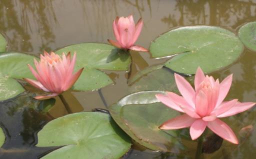 ˯ɏ��̫����ô�޼���˯ɏ�~�ӳ�ˮ��ɶ������