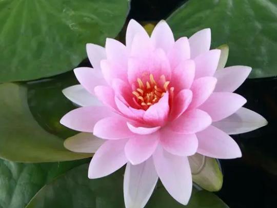 ˯ɏ����ȫ���]��ˮ�І���˯ɏ�~�ӳ�ˮ�͸���ô�k