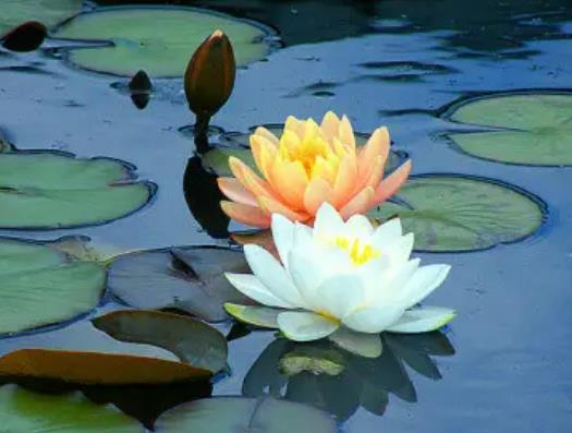 ˯ɏ����ȫ���]��ˮ�І᣿˯ɏ�~�ӳ�ˮ�͸���ô�k