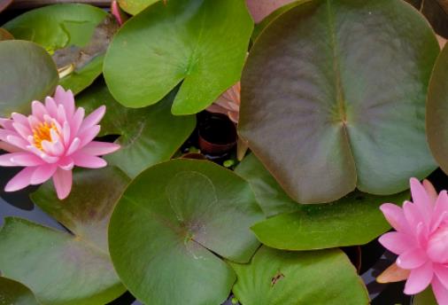 ˯ɏ��ˮ�l��׃������ô���£�˯ɏˮ�Bʩ�ʿ����ÏͺϷʆ�