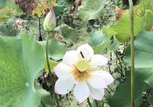 ���ӽ�Q˯ɏ�׳���˯ɏ��ʲô����׷��