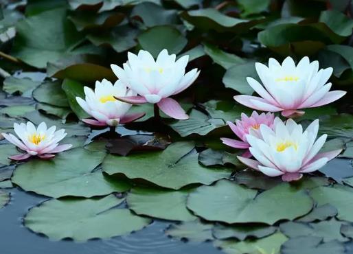 �ɻ�����ɏ���᣿˯ɏ�Ϡ��~��զ����