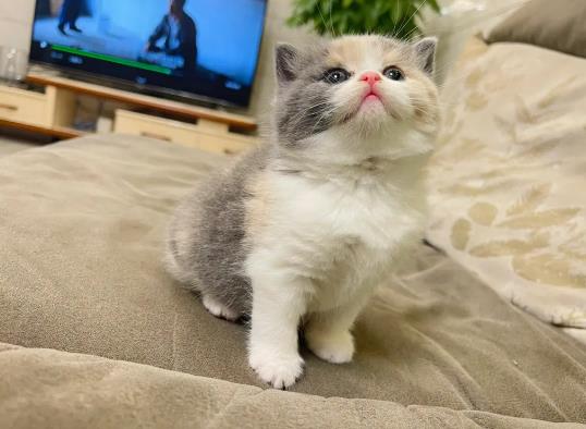 ��ʲô؈��ȥ����˯�X��؈���ʲô˯�����^��