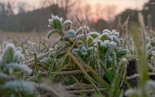 һ�㵽ʲô��(ji��)��Ų��䣿���ź������ʲô׃��