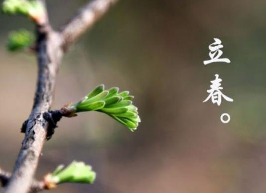 ����ʲô�f����2024����ǰ���߀������