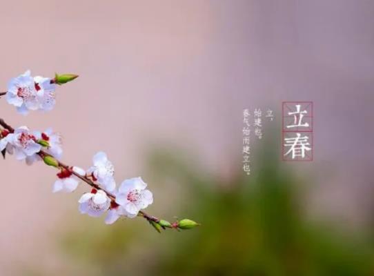 2024����Щ��ФҪ�㴺���㴺��ʲô�ɫ���·�