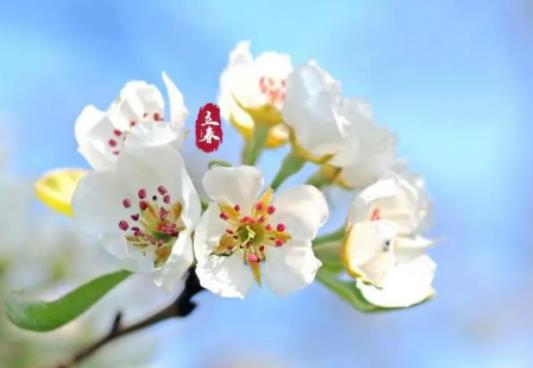 2024����Щ��ФҪ�㴺���㴺��ʲô�ɫ���·�