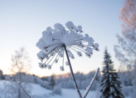 ���ź�߀��(hu��)�������(sh��)����Y(ji��)����߀���